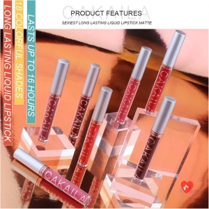 10 Colors Liquid Lipstick Matte Nude Set Velvet Long Lasting Non-stick Cup, Waterproof and Durable Lipstick (01)