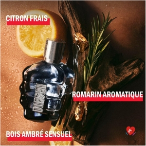 Only The Brave Eau de Toilette Homme Boisé