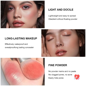 Palette Fard à Joues Blush et Correcteur 12 Couleurs